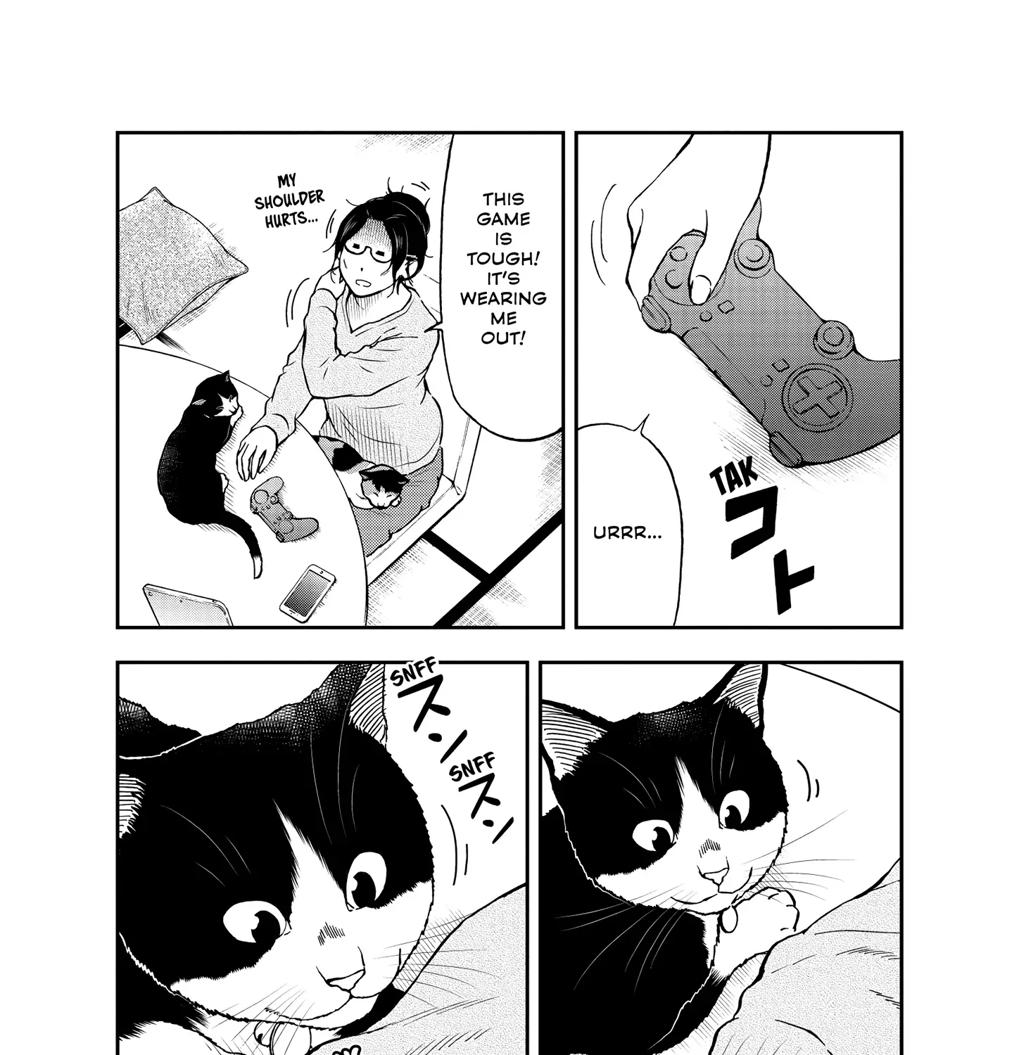 A Gamer Living with a Cat Chapter 47 page 6 - 