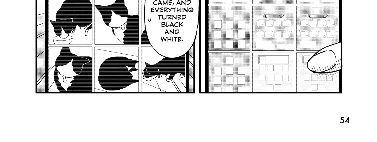 A Gamer Living with a Cat Chapter 48 page 12 - 