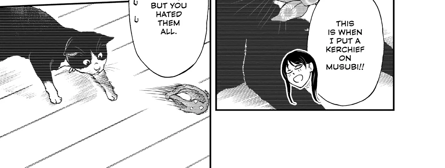 A Gamer Living with a Cat Chapter 48 page 14 - 