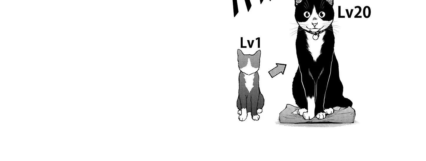 A Gamer Living with a Cat Chapter 48 page 28 - 