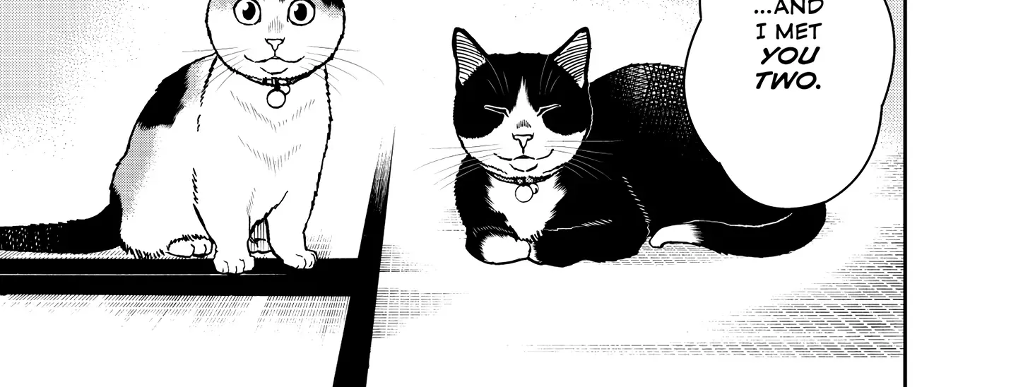 A Gamer Living with a Cat Chapter 49 page 27 - 