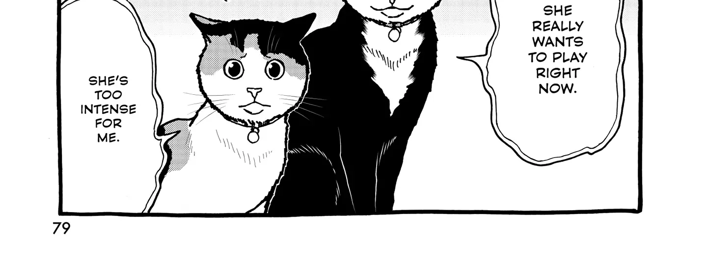 A Gamer Living with a Cat Chapter 49 page 35 - 