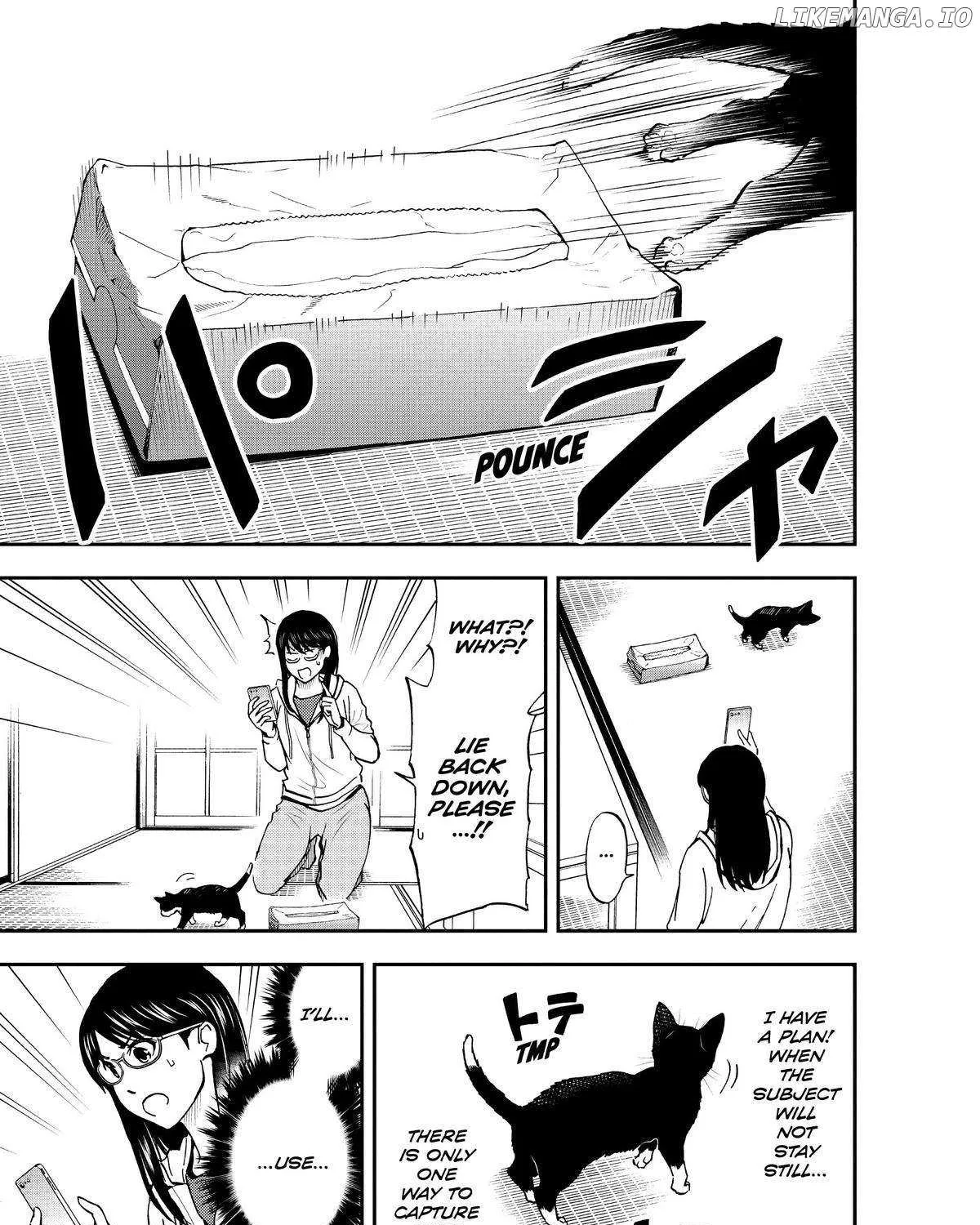 A Gamer Living with a Cat Chapter 5 page 17 - 