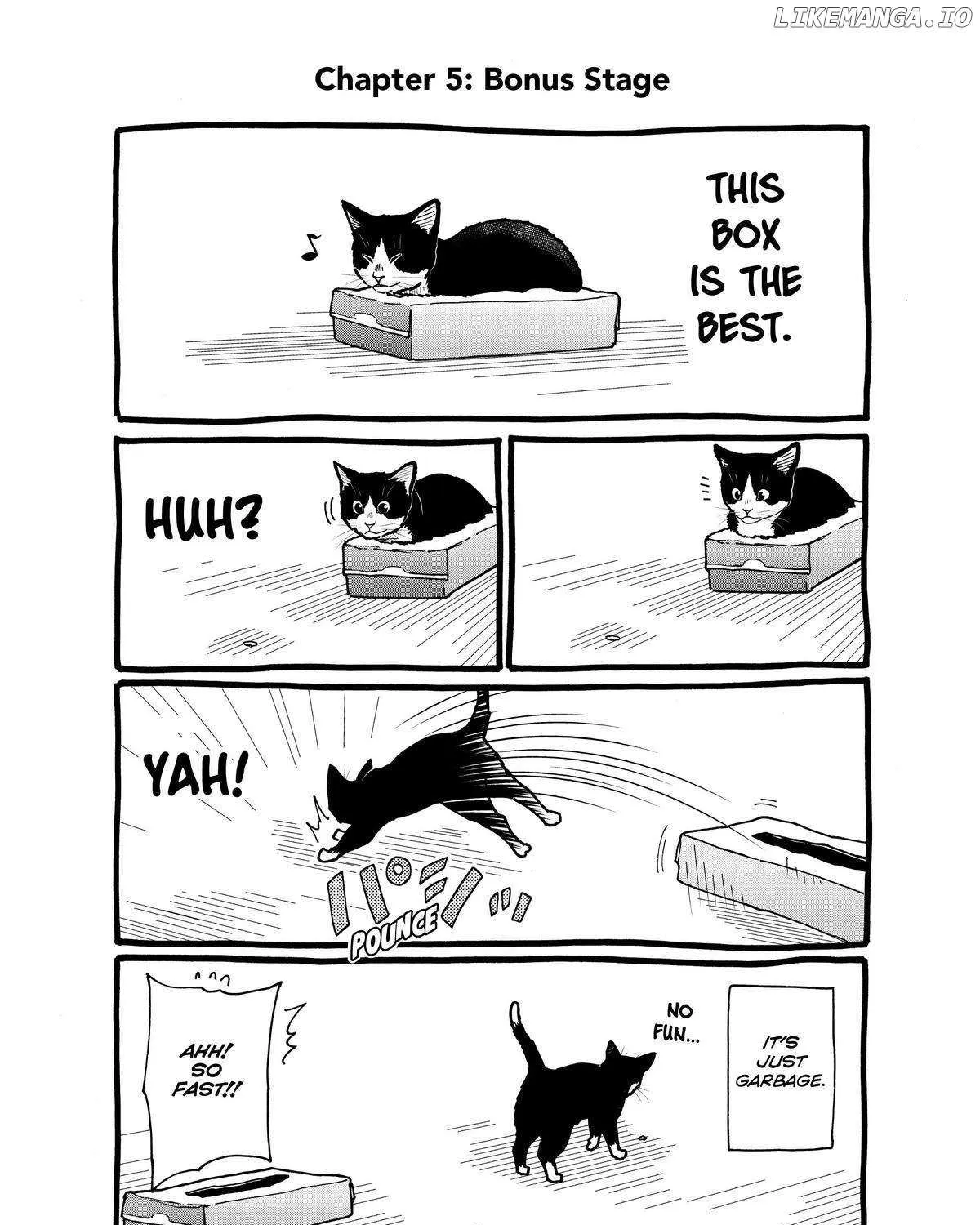 A Gamer Living with a Cat Chapter 5 page 33 - 