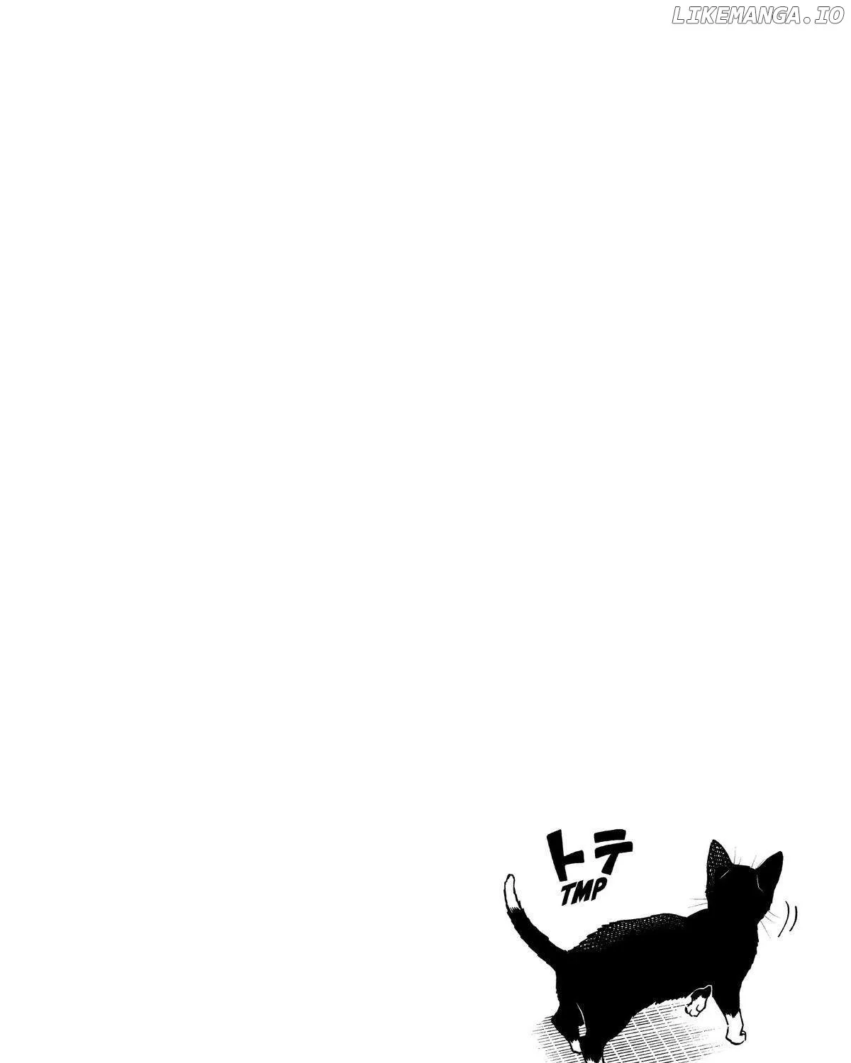 A Gamer Living with a Cat Chapter 5 page 35 - 