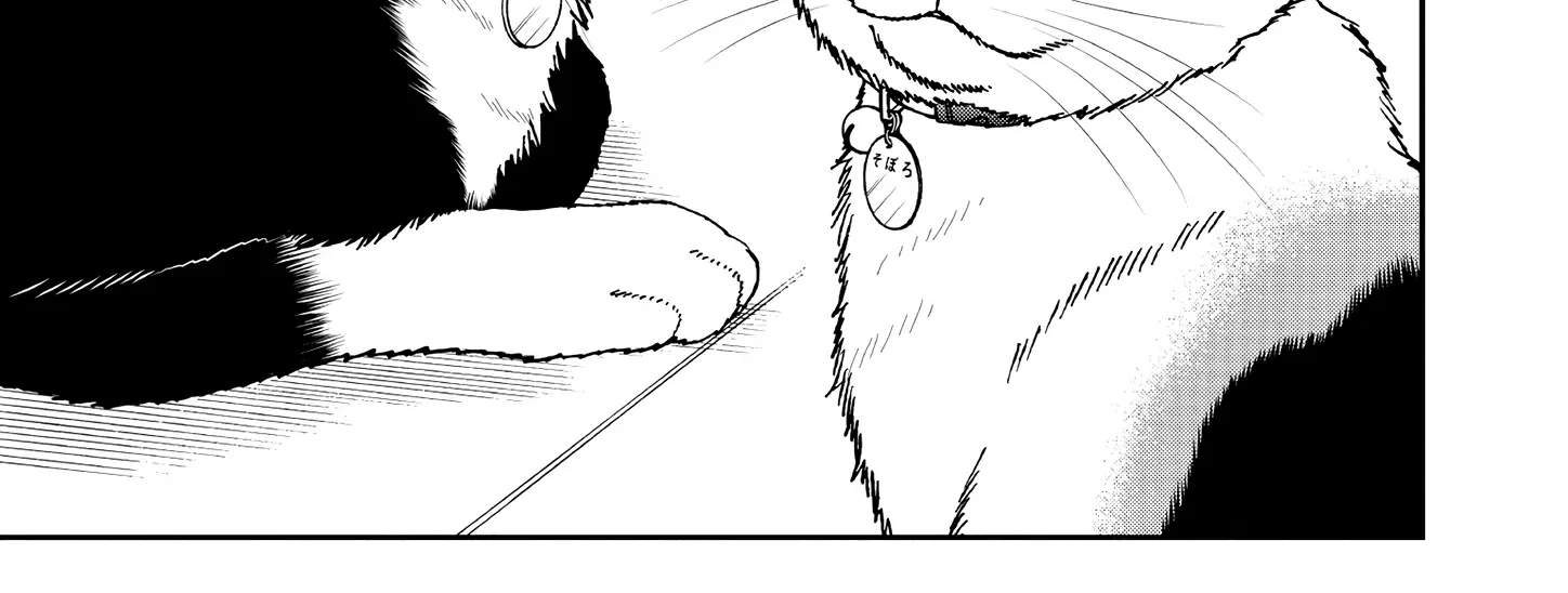 A Gamer Living with a Cat Chapter 50 page 2 - 