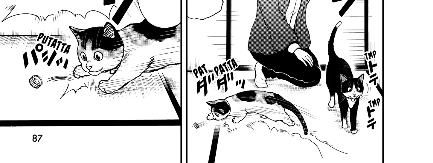 A Gamer Living with a Cat Chapter 50 page 14 - 