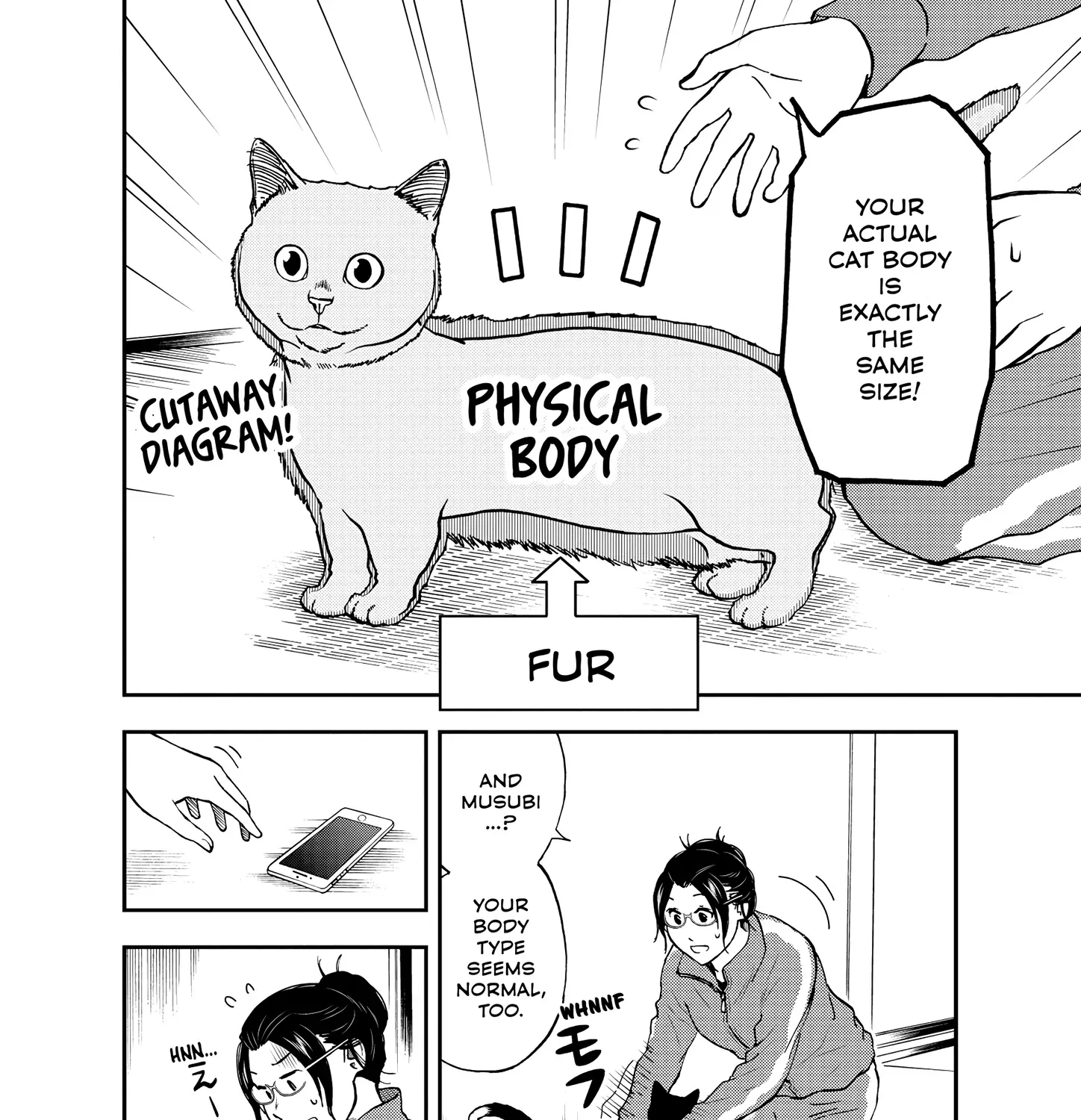 A Gamer Living with a Cat Chapter 51 page 17 - 