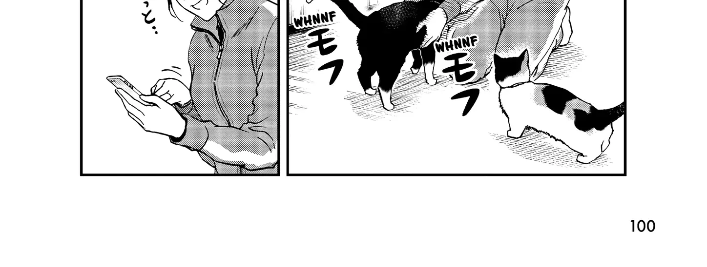A Gamer Living with a Cat Chapter 51 page 18 - 