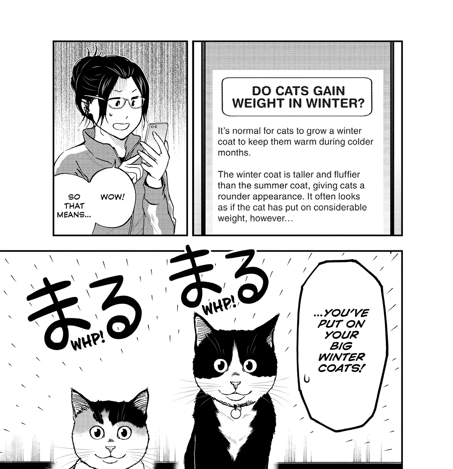 A Gamer Living with a Cat Chapter 51 page 19 - 