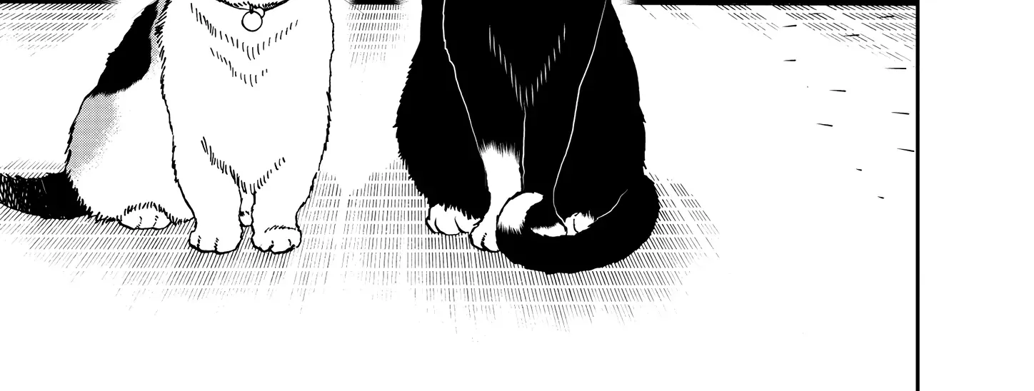 A Gamer Living with a Cat Chapter 51 page 20 - 