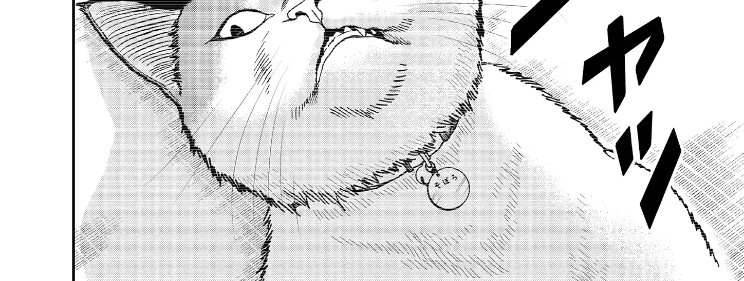 A Gamer Living with a Cat Chapter 52 page 12 - 