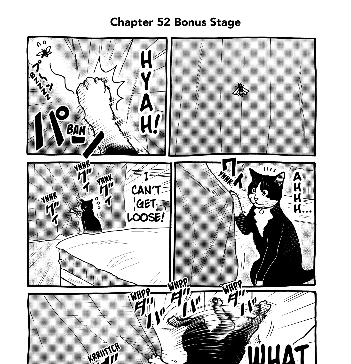 A Gamer Living with a Cat Chapter 52 page 21 - 
