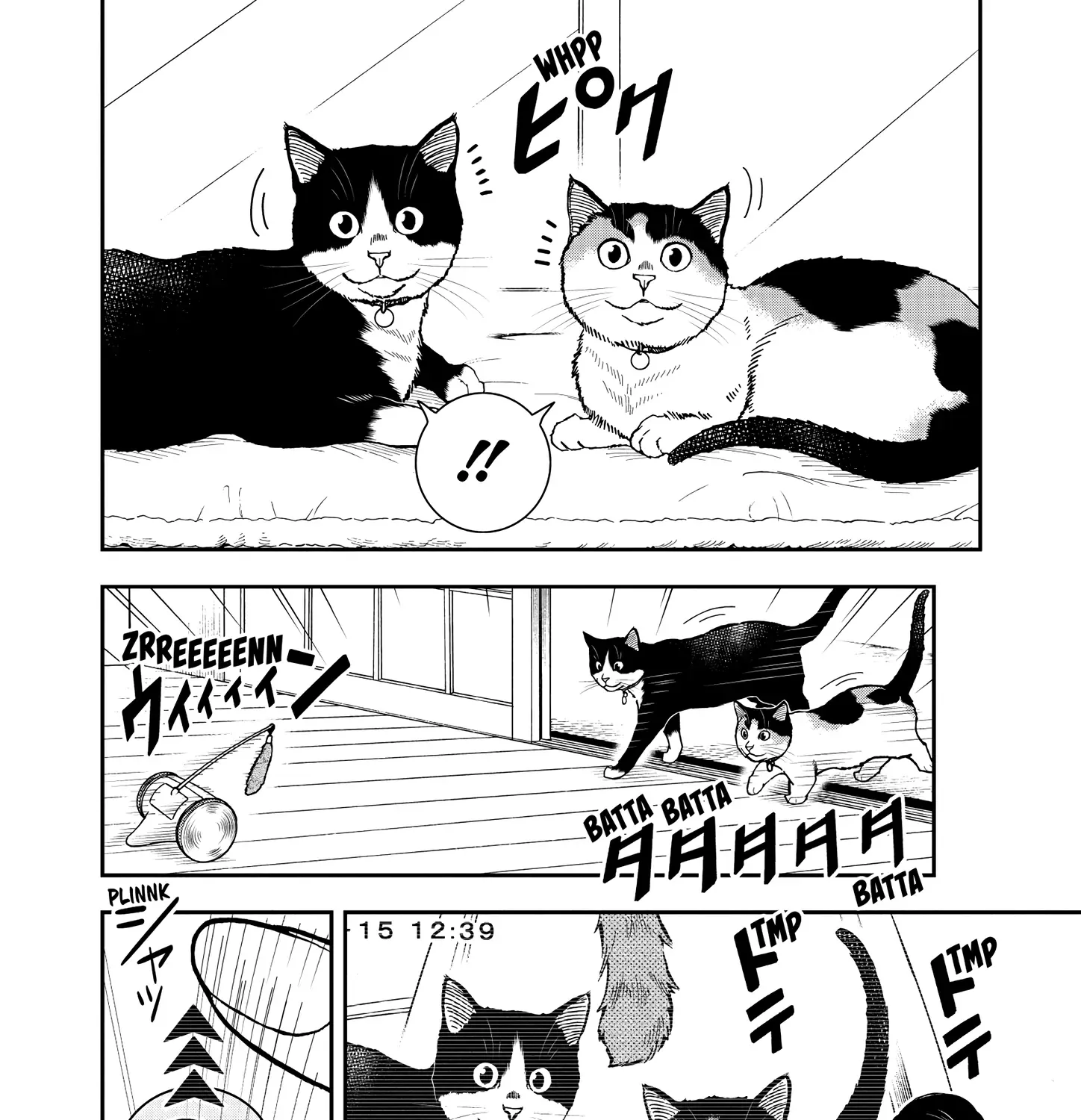 A Gamer Living with a Cat Chapter 53 page 16 - 