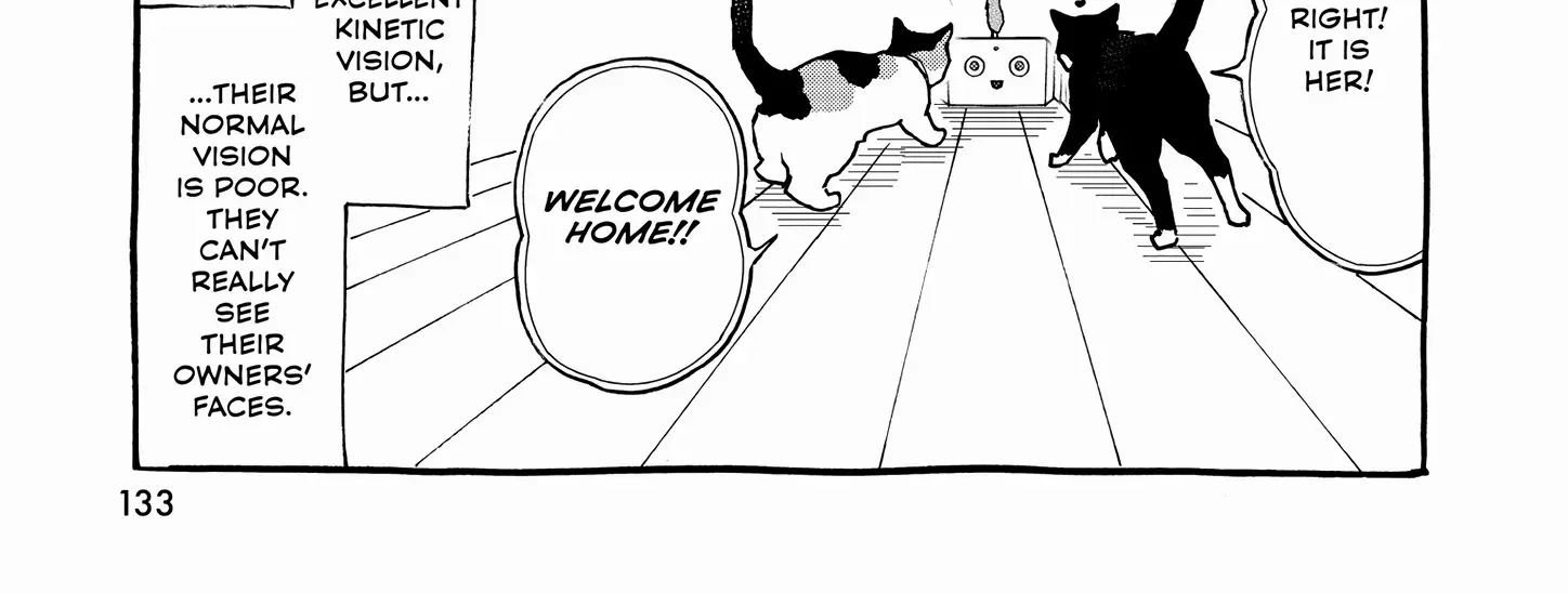 A Gamer Living with a Cat Chapter 53 page 35 - 