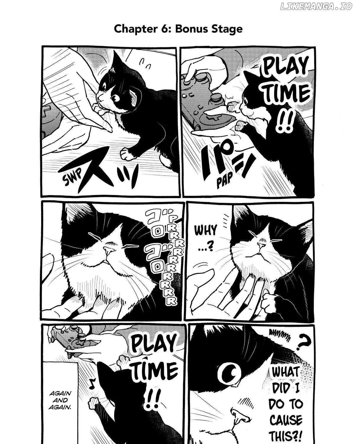 A Gamer Living with a Cat Chapter 6 page 37 - 
