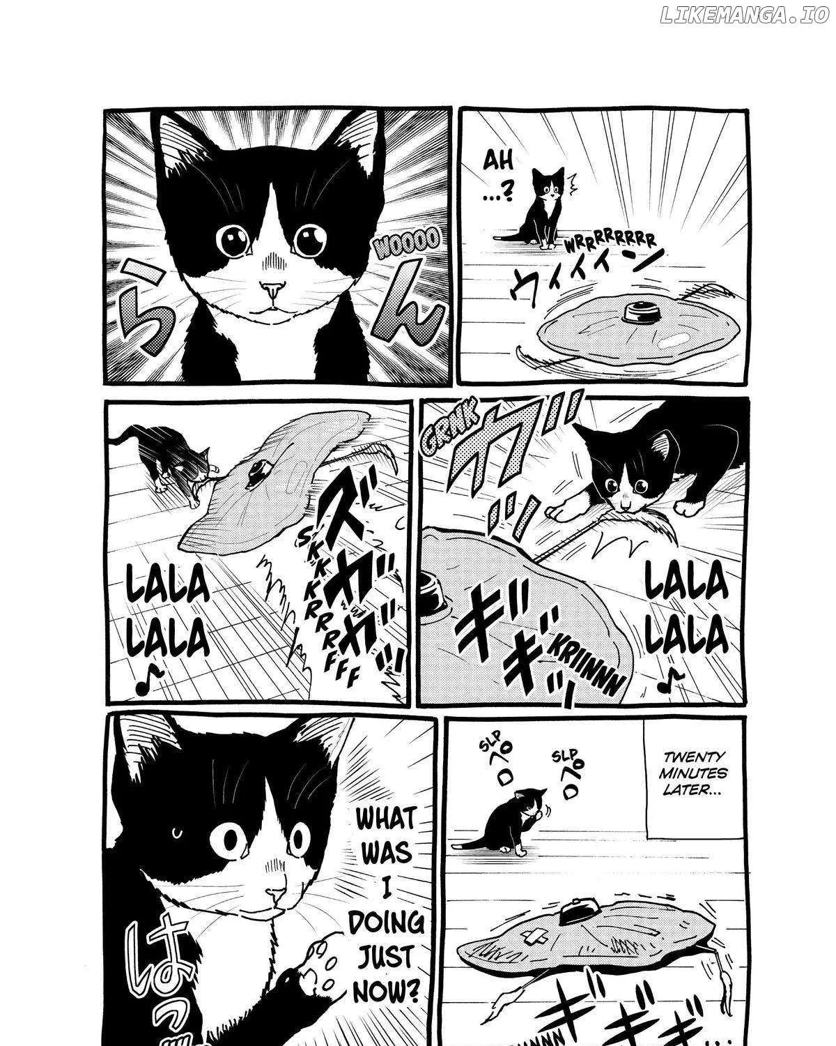 A Gamer Living with a Cat Chapter 6 page 39 - 