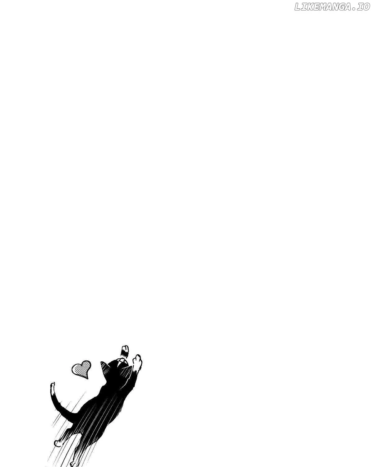 A Gamer Living with a Cat Chapter 6 page 41 - 