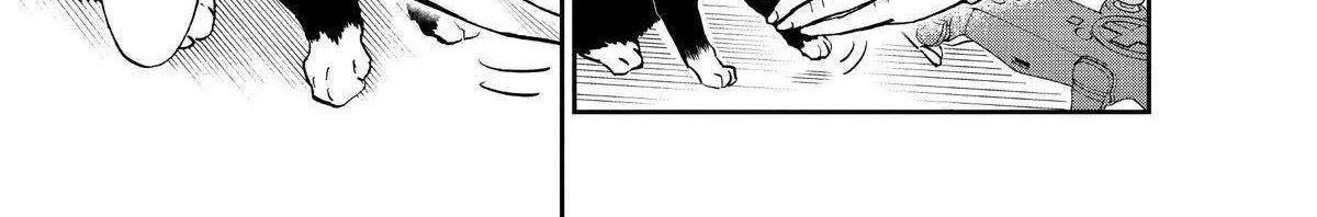 A Gamer Living with a Cat Chapter 6 page 6 - 