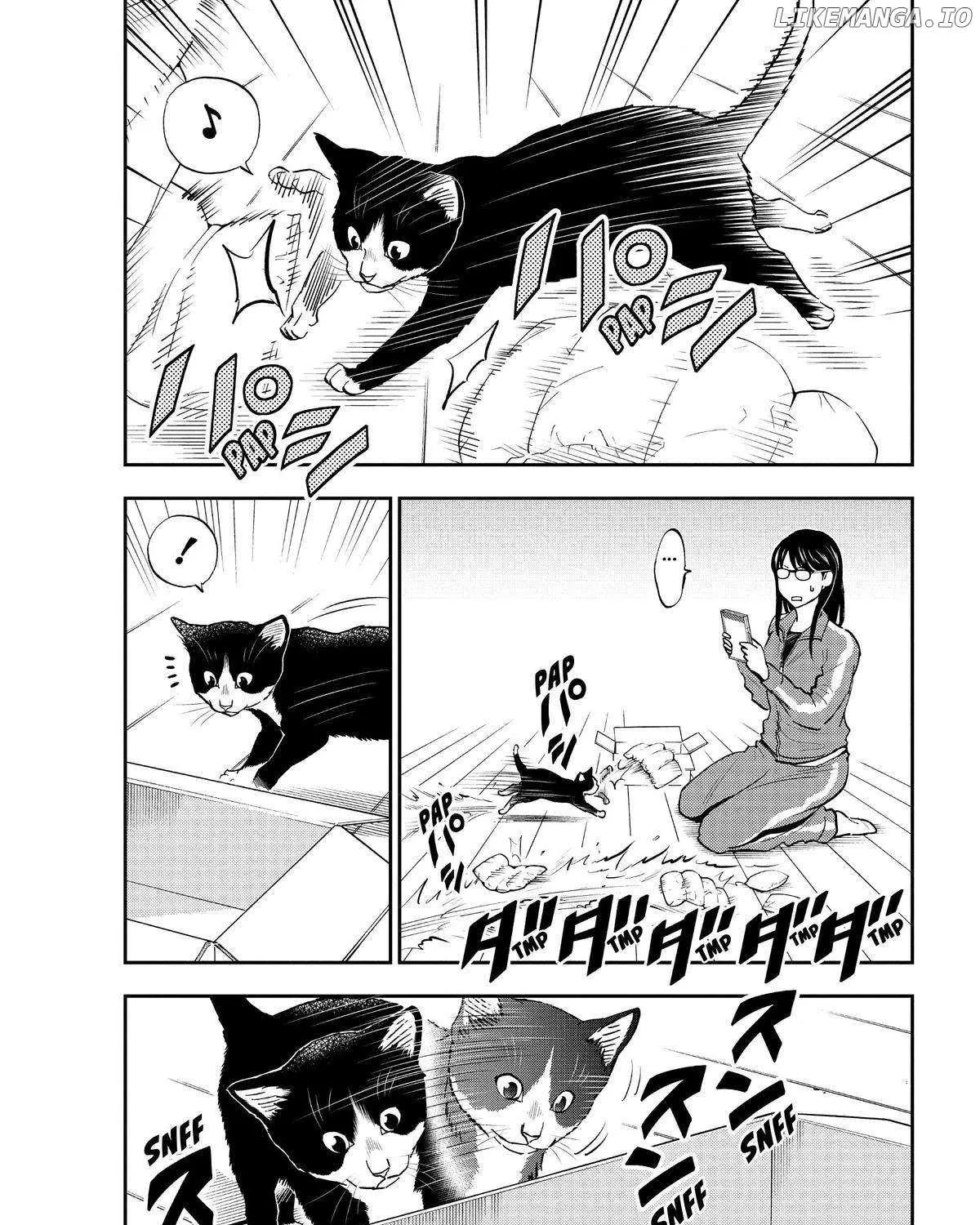 A Gamer Living with a Cat Chapter 7 page 12 - 