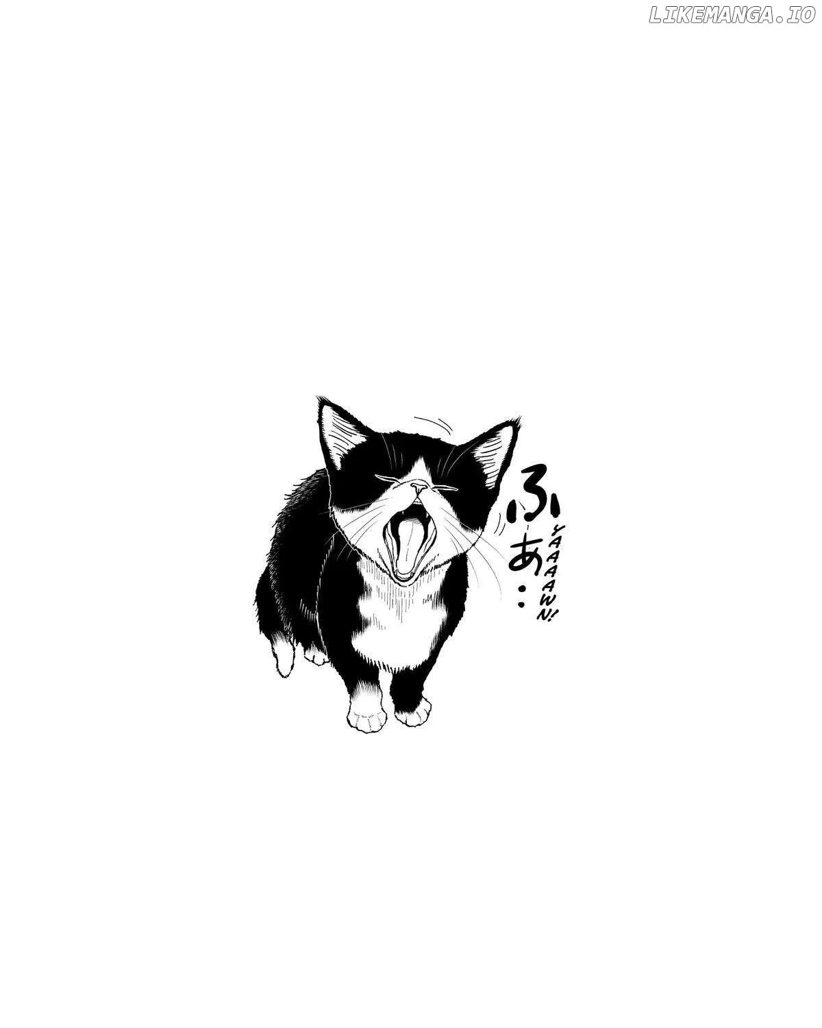 A Gamer Living with a Cat Chapter 8 page 35 - 