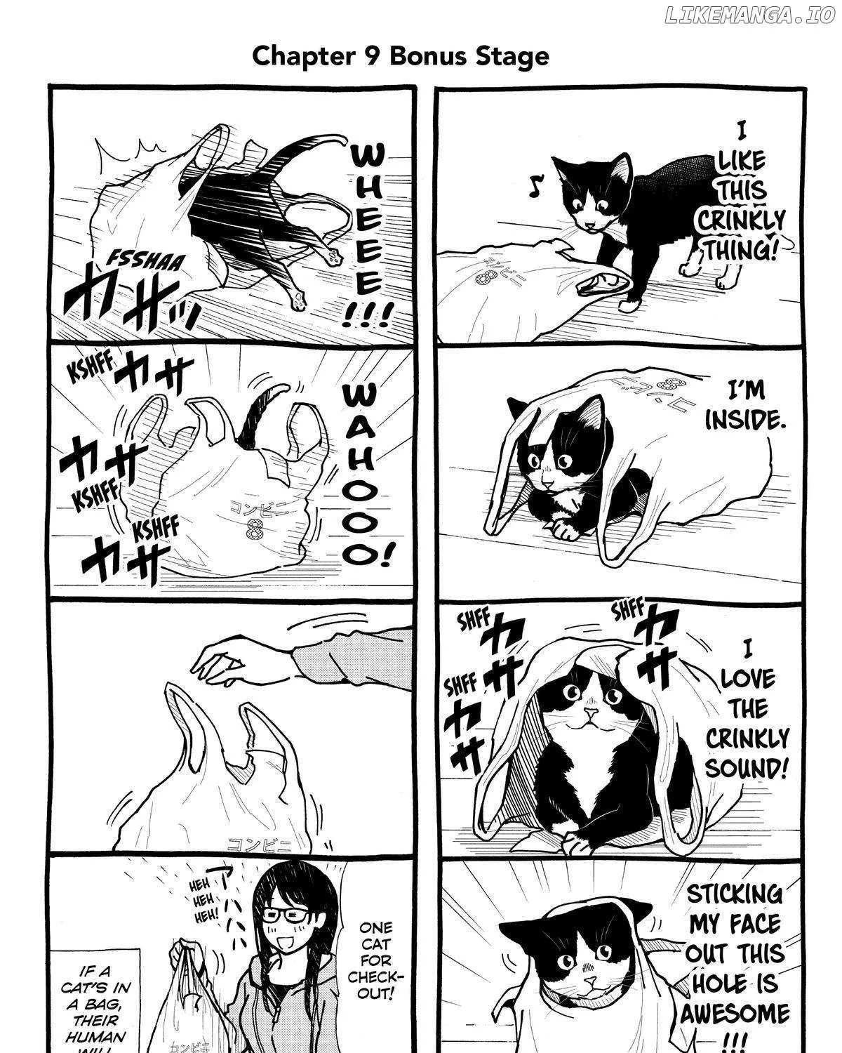 A Gamer Living with a Cat Chapter 9 page 35 - 