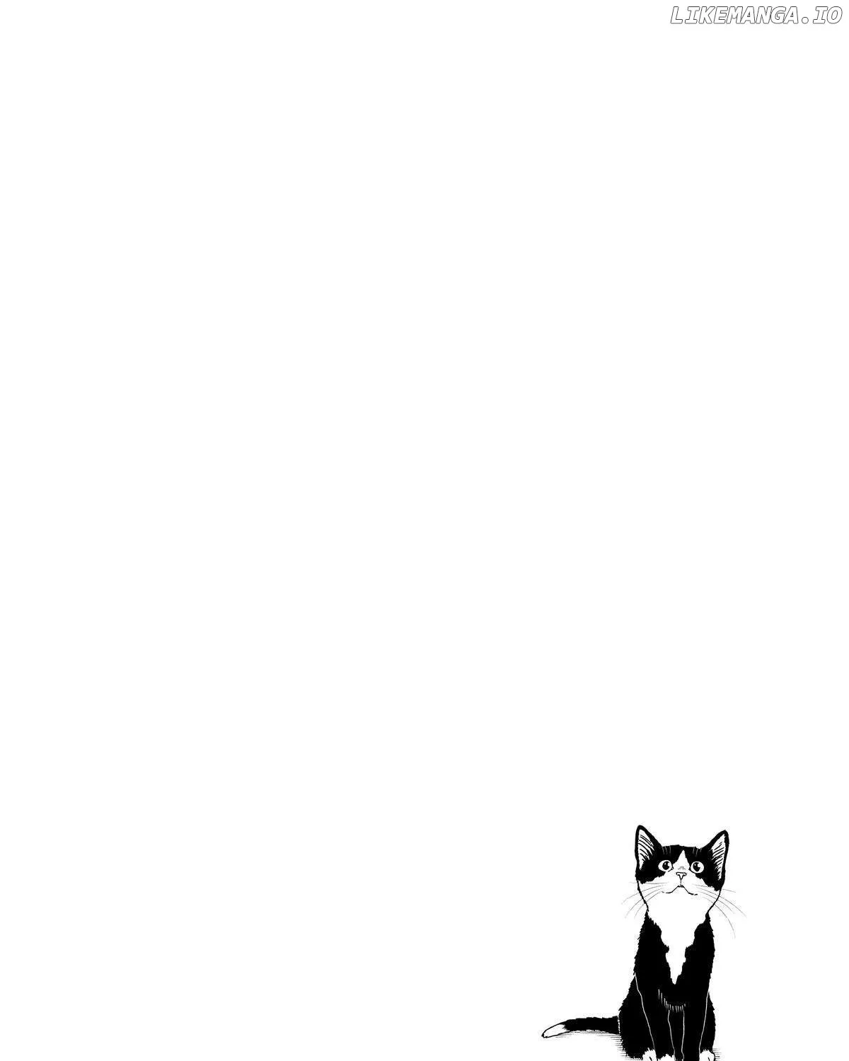 A Gamer Living with a Cat Chapter 9 page 37 - 