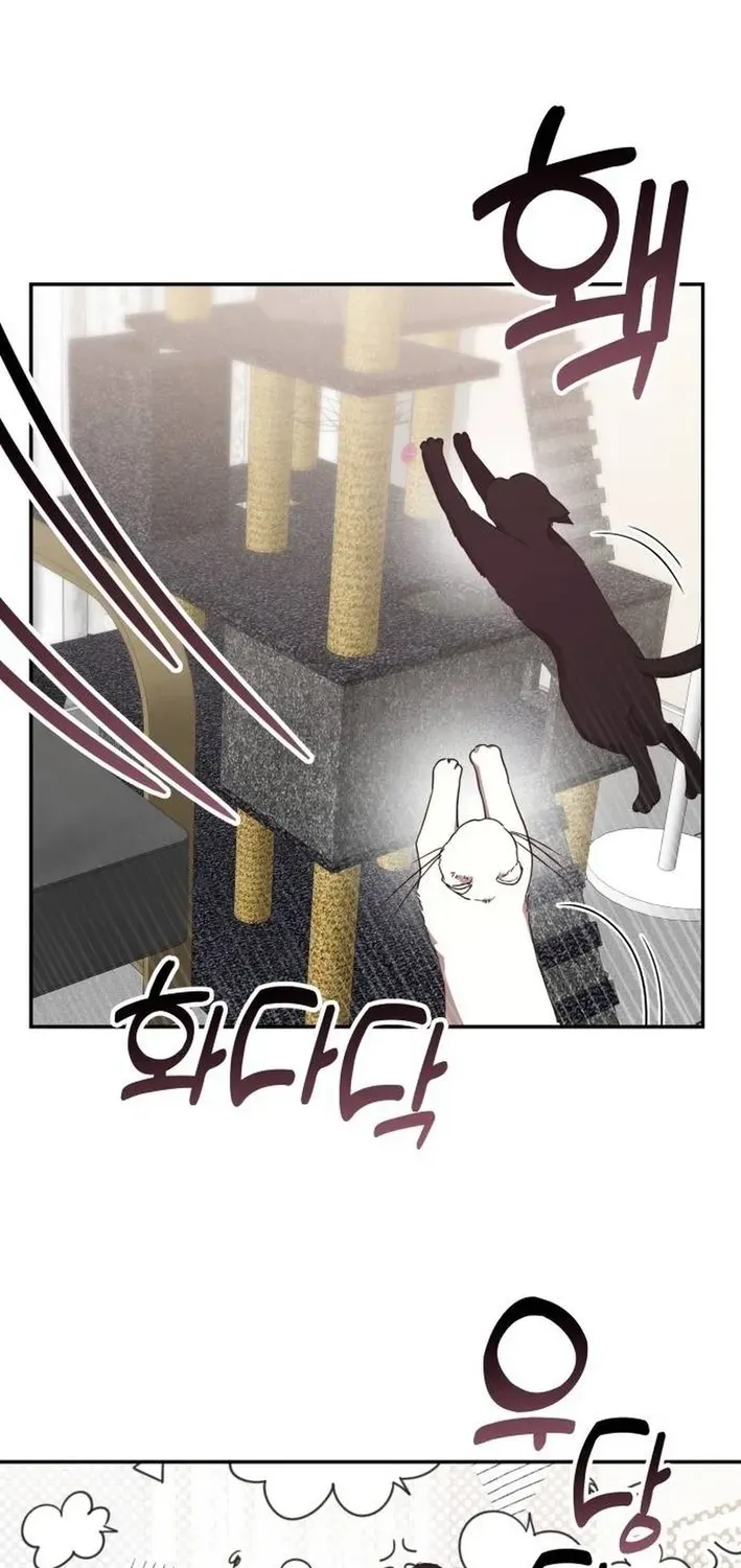 A Genius Writer’s Random Workplace Chapter 90 page 76 - 
