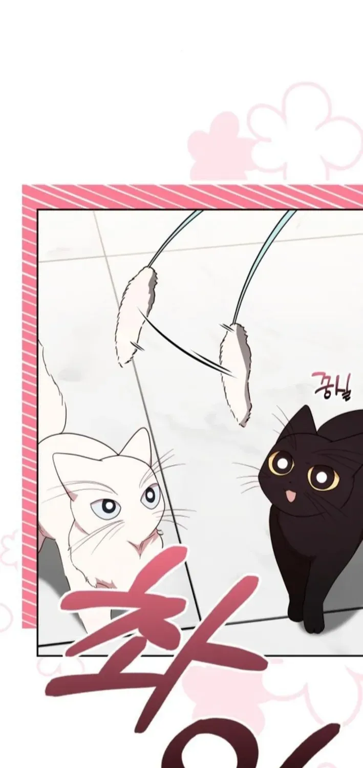 A Genius Writer’s Random Workplace Chapter 93 page 15 - 