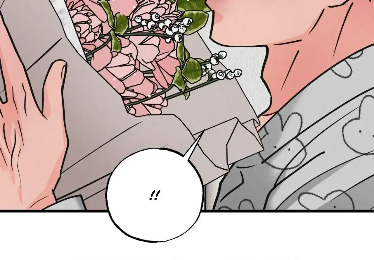 A Golden Pair Chapter 62 page 65 - 
