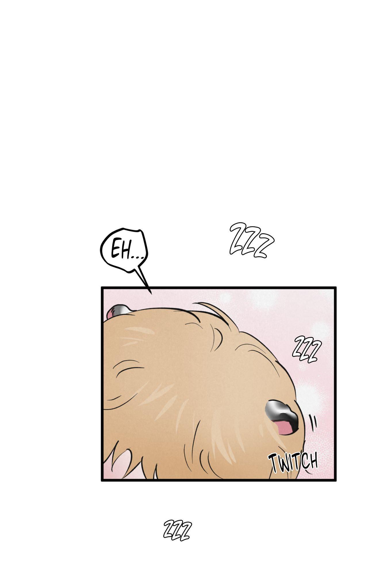 A Golden Pair Chapter 63.2 page 28 - 