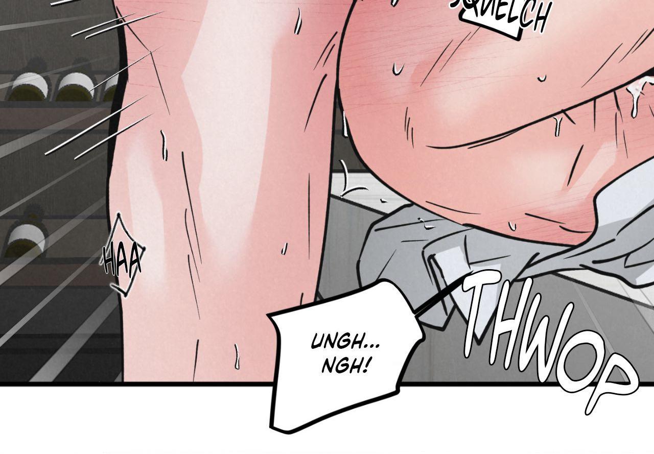 A Golden Pair Chapter 63.3 page 15 - 