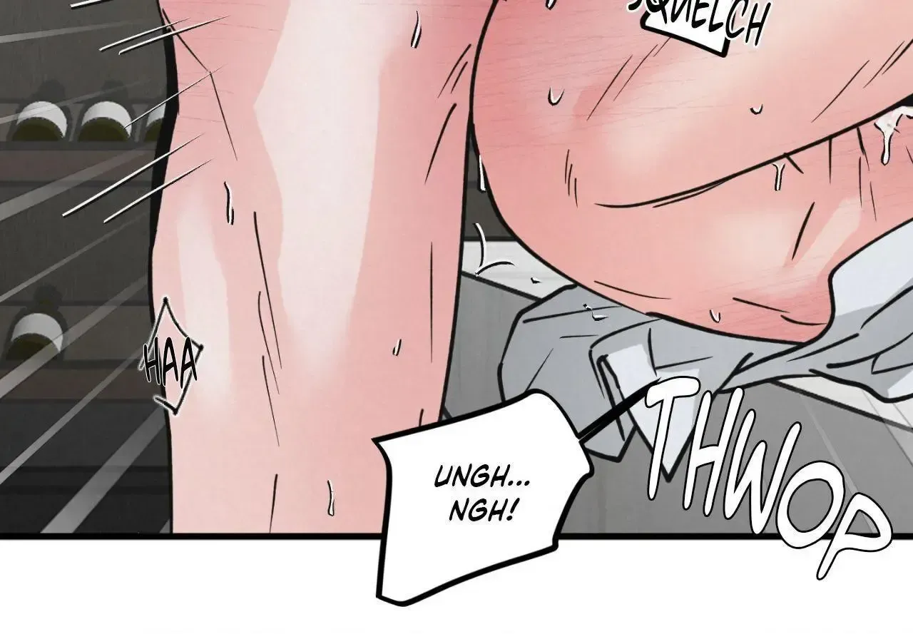 A Golden Pair Chapter 66 page 15 - 