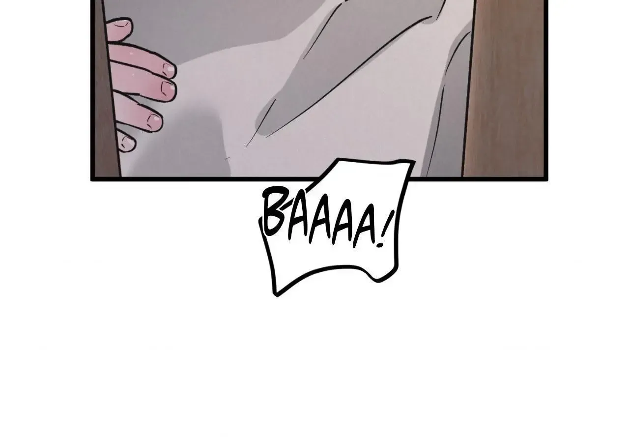 A Golden Pair Chapter 66 page 75 - 