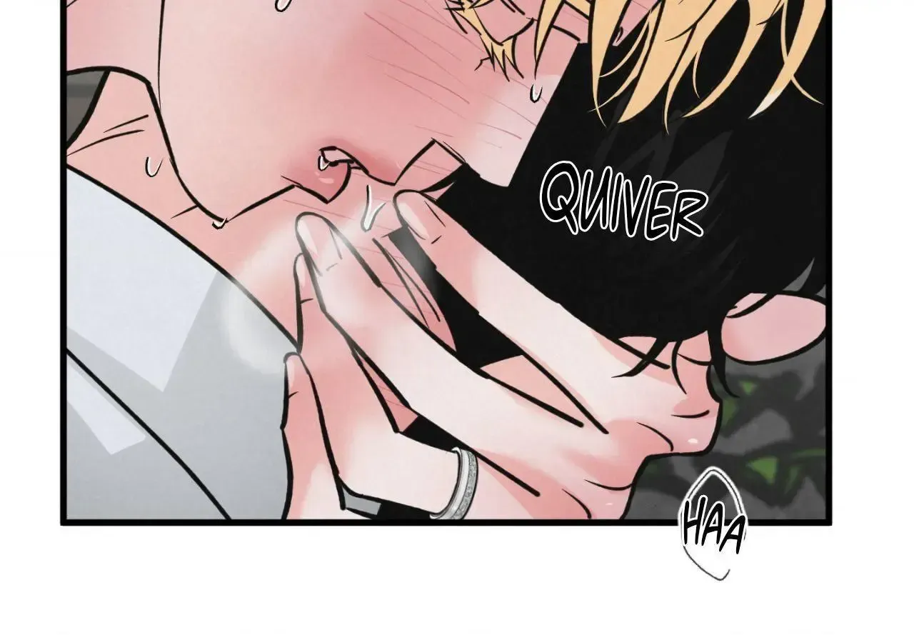 A Golden Pair Chapter 66 page 10 - 