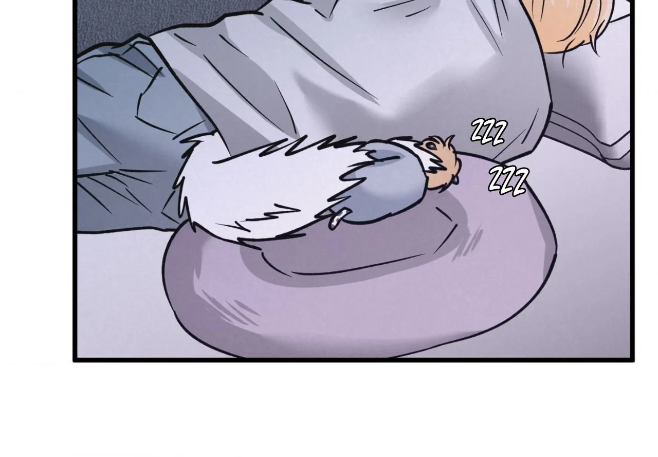 A Golden Pair Chapter 67 page 60 - 