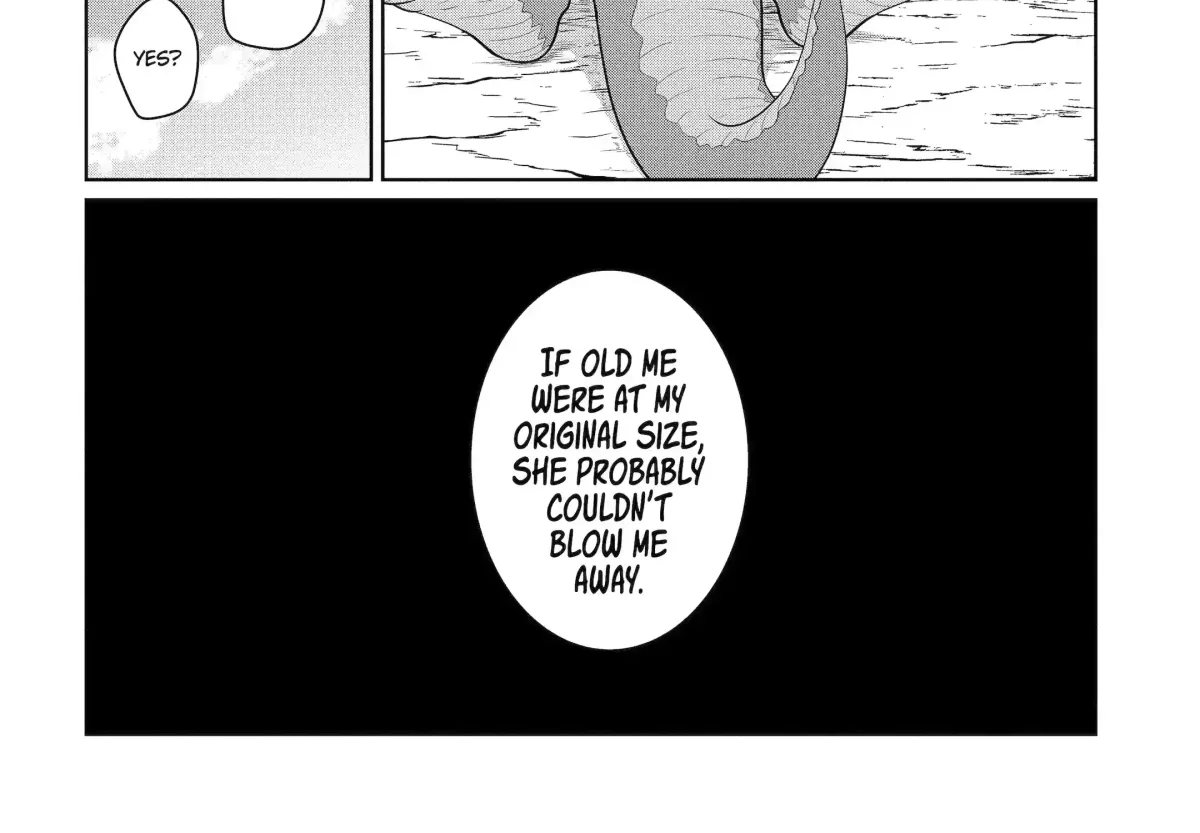 A Herbivorous Dragon of 5,000 Years Gets Unfairly Villainized Chapter 13.2 page 17 - 
