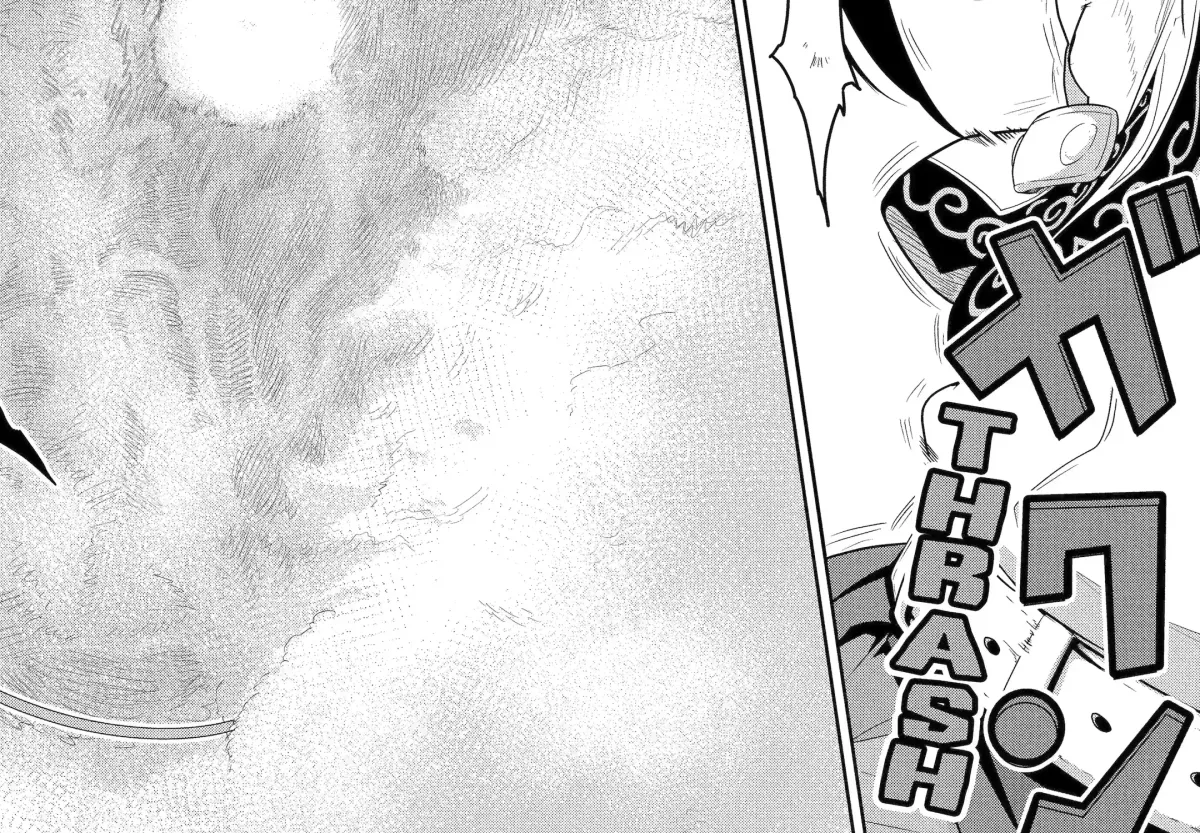 A Herbivorous Dragon of 5,000 Years Gets Unfairly Villainized Chapter 13.3 page 11 - 
