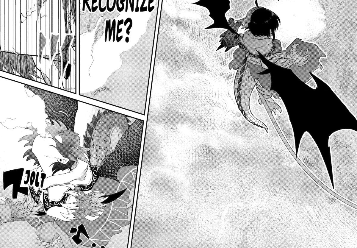 A Herbivorous Dragon of 5,000 Years Gets Unfairly Villainized Chapter 13.3 page 14 - 