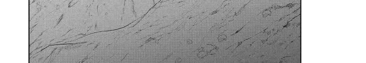 A Herbivorous Dragon of 5,000 Years Gets Unfairly Villainized Chapter 15 page 34 - 