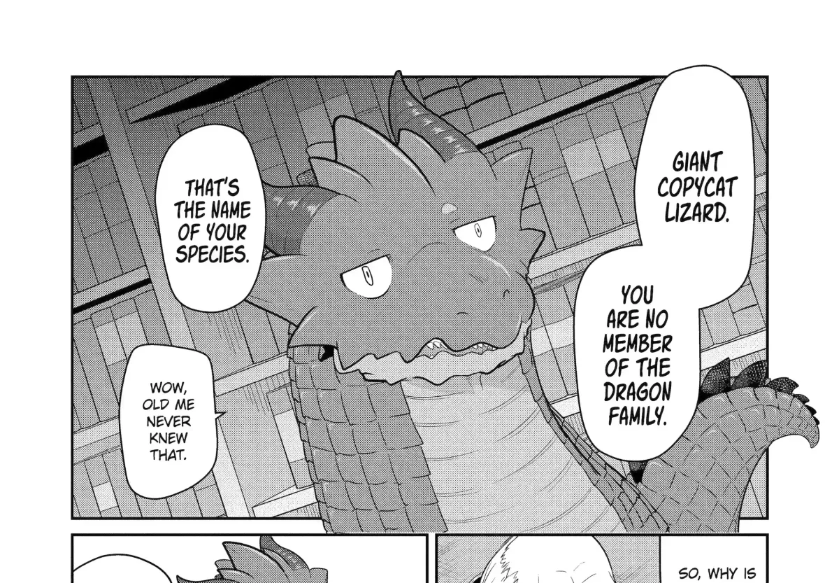A Herbivorous Dragon of 5,000 Years Gets Unfairly Villainized Chapter 21.1 page 13 - 