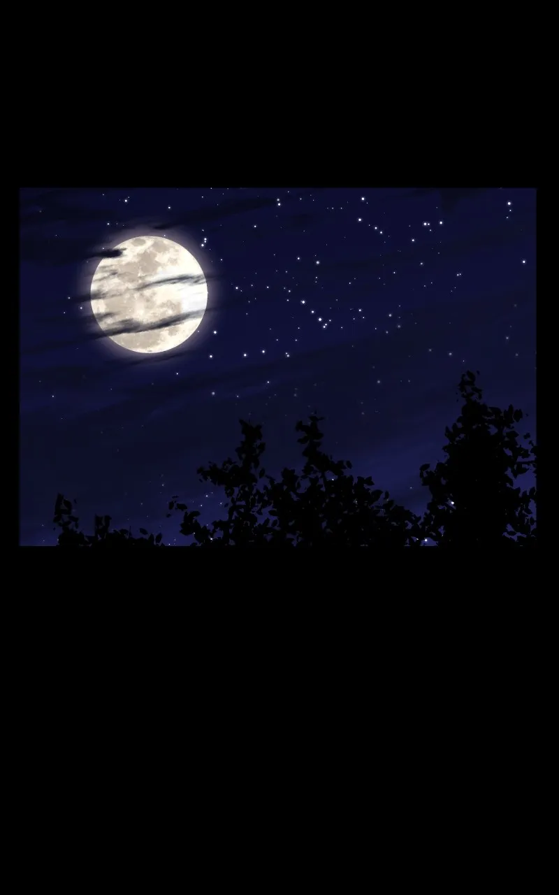 A Life-Changing Turn Chapter 29 page 13 - 
