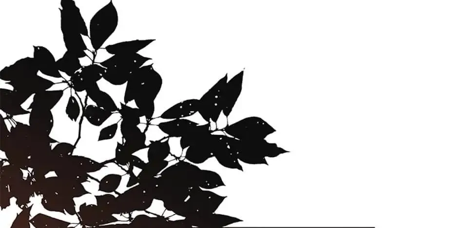 A Married Killer Chapter 36 page 12 - 