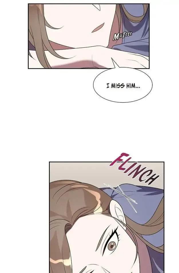 A Misogamist's Romance Chapter 21 page 47 - 