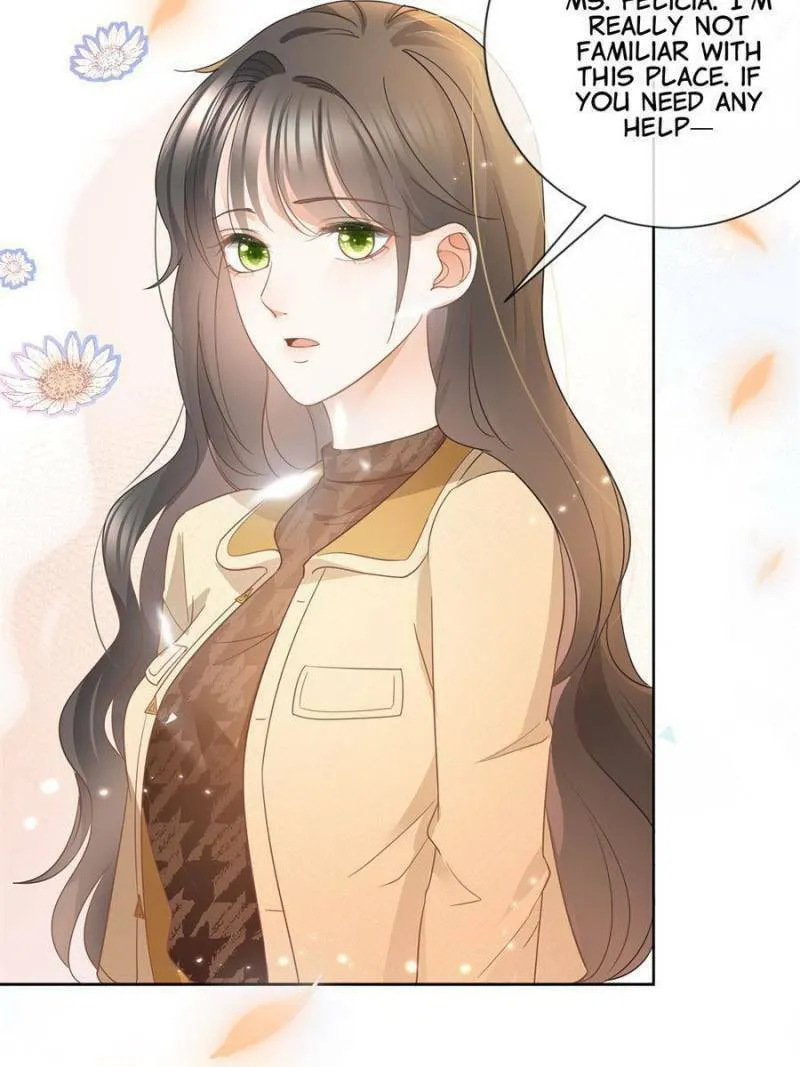 A Professional Assassin Raises a Fox Chapter 25 page 47 - 