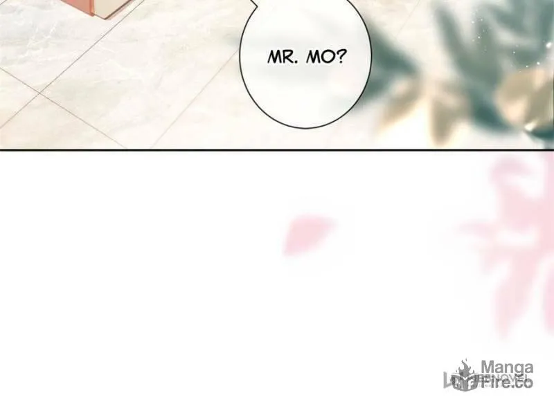 A Professional Assassin Raises a Fox Chapter 26 page 6 - 