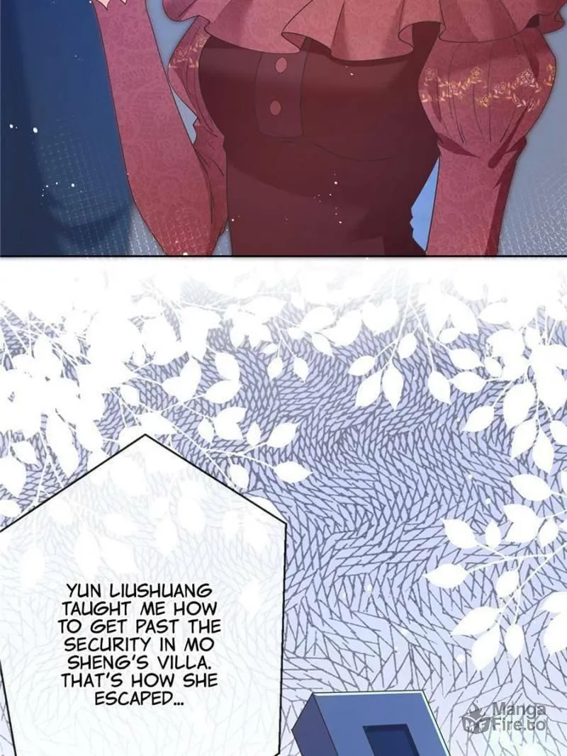 A Professional Assassin Raises a Fox Chapter 28 page 36 - 