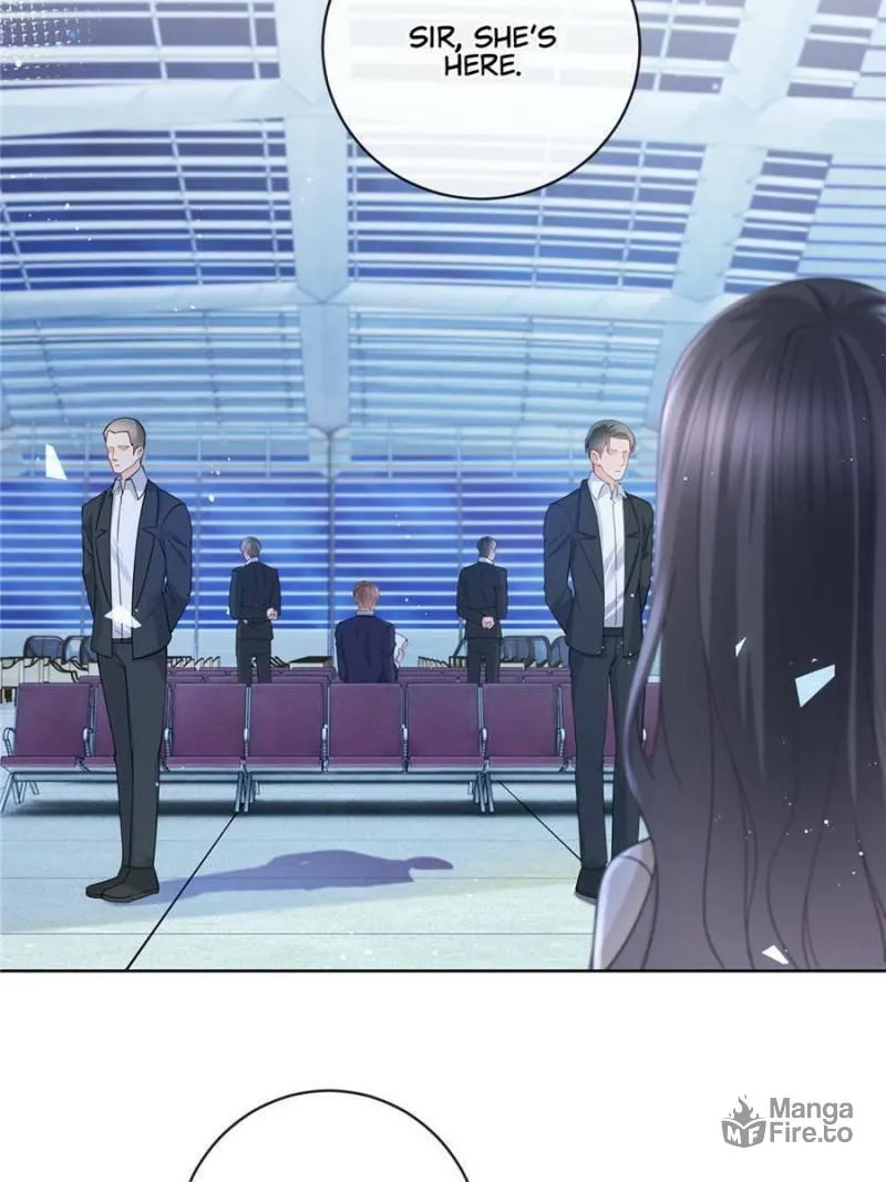 A Professional Assassin Raises a Fox Chapter 31 page 5 - 
