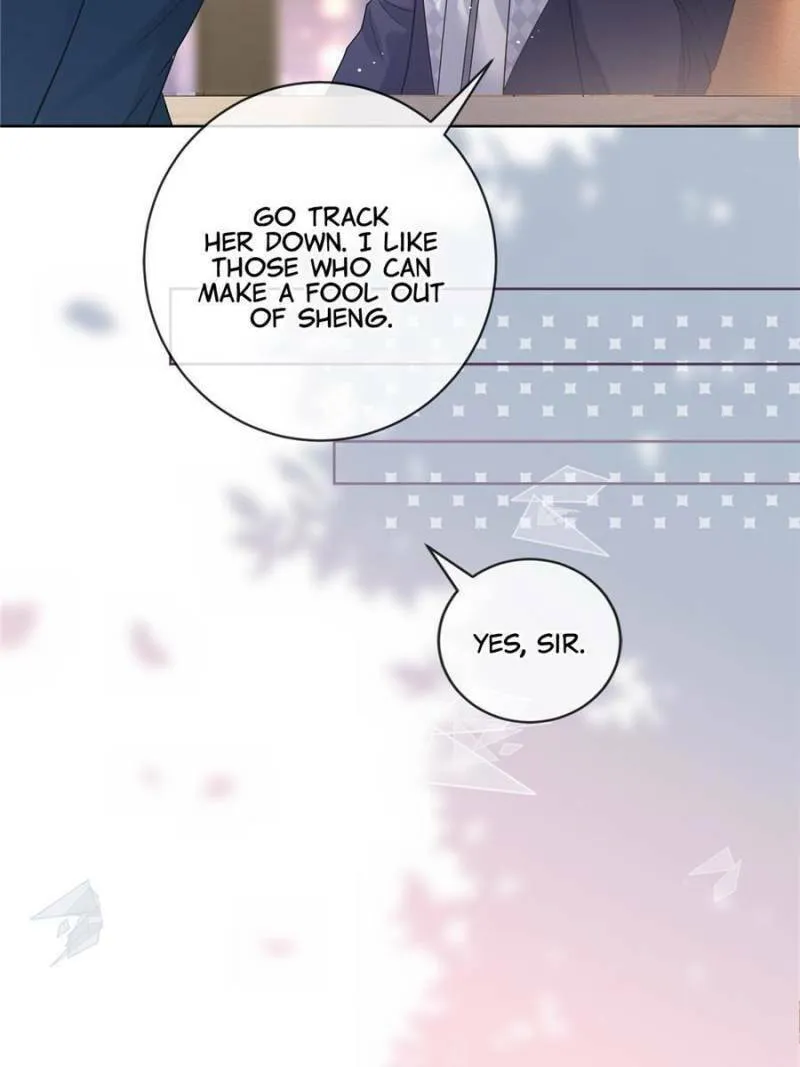 A Professional Assassin Raises a Fox Chapter 33 page 19 - 