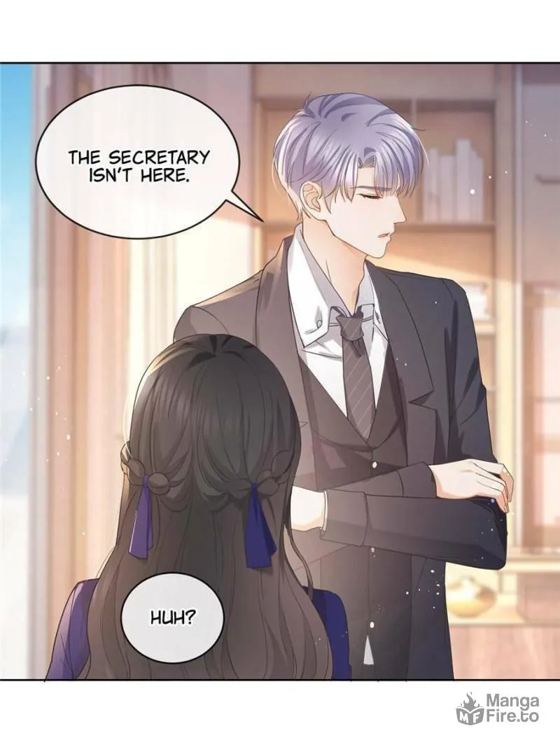 A Professional Assassin Raises a Fox Chapter 40 page 5 - 